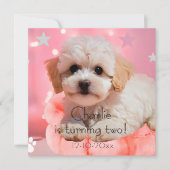 犬の誕生日パーティー セーブザデート (正面)