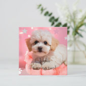 犬の誕生日パーティー 招待状 (スタンド正面)