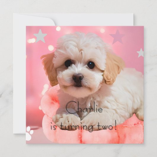 犬の誕生日パーティー 招待状 (正面)