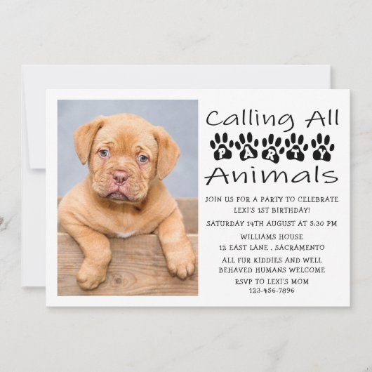 犬の誕生日写真 招待状 (正面)