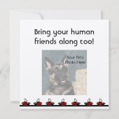 犬の誕生日招待状 招待状 (裏面)