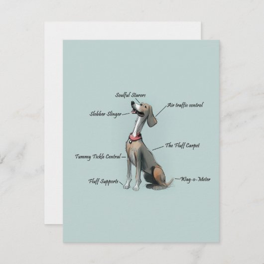 犬の誕生日 (正面/裏面)