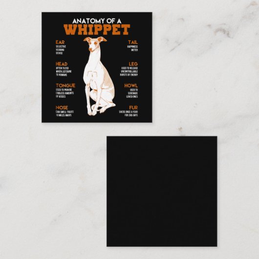 犬の贈り物贈り物用のホイッペット犬の解剖|おもしろい体 スクエア名刺 (正面/裏面)