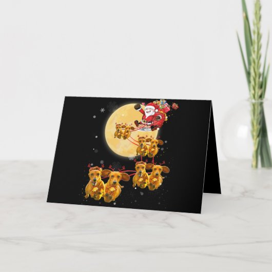 犬の贈り物 | クリスマス ダックスフンド 犬 おかしい (正面)