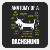 犬の贈り物 |ダックスフントの解剖学 スクエアシール (正面)
