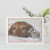 犬の赤と白ペットのクリスマス写真 シーズンカード (スタンド正面)