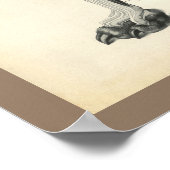 犬の足の骨の筋肉の獣医解剖学プリント ポスター (角)