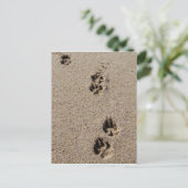 犬の足跡はがき ポストカード (スタンド正面)