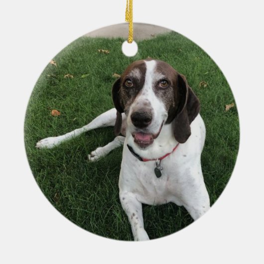 犬の足跡 赤い雪の結晶 星の写真 名前 年の装飾 セラミックオーナメント (裏面)