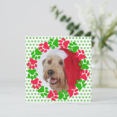 犬の足跡 赤と緑のリース フォト シーズンカード (スタンド正面)