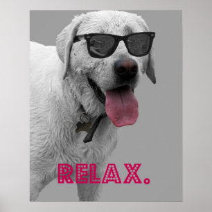 犬の身に着けているサングラスは、リラックスします ポスター