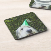 犬の身に着けているパーティーの帽子 コースター (左側)