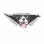 犬の車のシール シール (正面)