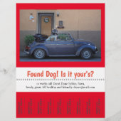 犬の迷子札が外れた チラシ (正面)