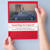 犬の迷子札が外れた チラシ (手)