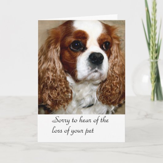 犬の追悼カード カード (正面)