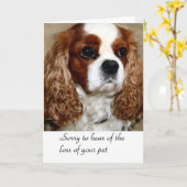 犬の追悼カード カード (黄色い花)