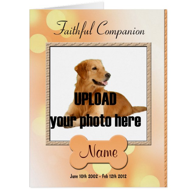 犬の追悼放送 – ペットの死 (正面)