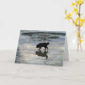 犬の通りのお見舞いカード カード (黄色い花)