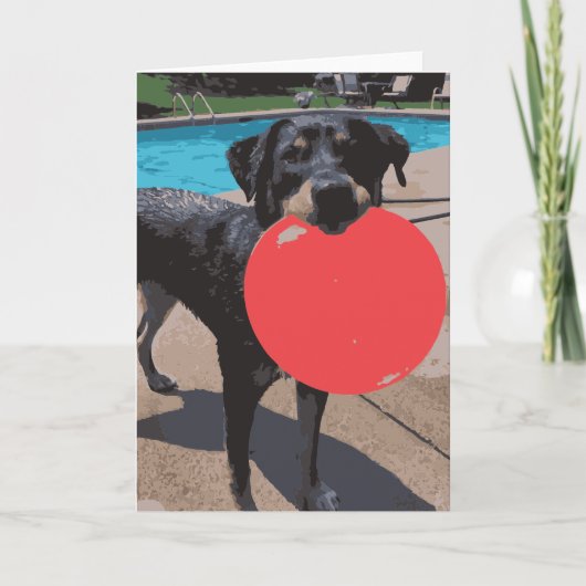 犬の遊フリスビー海水浴場 カード (正面)