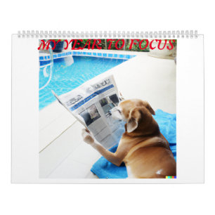 犬の違う写真と読カレンダー カレンダー