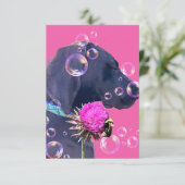 犬の里親美 サンキューカード (スタンド正面)