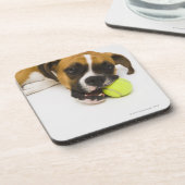 犬の鋭いテニス・ボール コースター (左側)