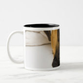 犬の鋭いテニス・ボール ツートーンマグカップ (左)