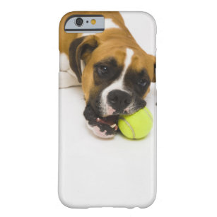 犬の鋭いテニス・ボール BARELY THERE iPhone 6 ケース