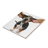 犬の長い耳 タイル (側面)