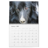 犬の顔と表情 カレンダー (1月 2027)