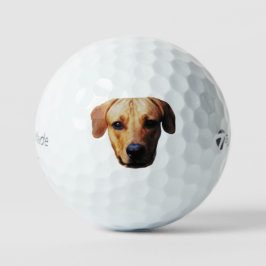 犬の顔のカスタム絵柄ゴルフボール ゴルフボール