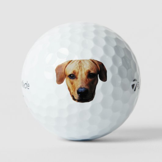 犬の顔のカスタム絵柄ゴルフボール ゴルフボール (正面)