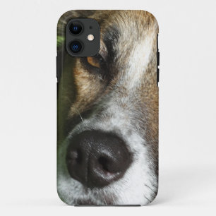 犬の顔クローズアップiPhone SE + iPhone 5/5S，かろうじて 11 ケース