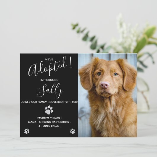 犬の養子縁組 – 子犬のシャワーパーティー – 新しいペット 招待状 (スタンド正面)