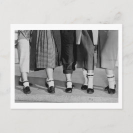 犬の首輪の吊り具 ポストカード