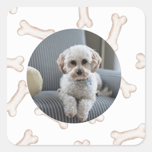 犬の骨の写真のステッカスタムカー スクエアシール (正面)