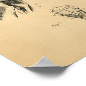 犬の骨格筋解剖学1908ヴィンテージプリント ポスター (角)