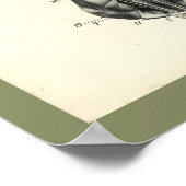 犬の骨格脊柱筋解剖学プリント ポスター (角)