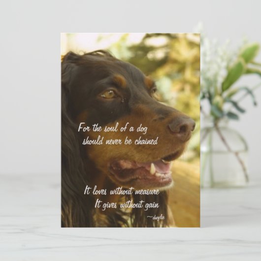 犬の魂 シーズンカード (スタンド正面)