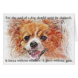 犬の魂 – チワワ