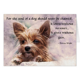 犬の魂 – ヨークシャーテリア