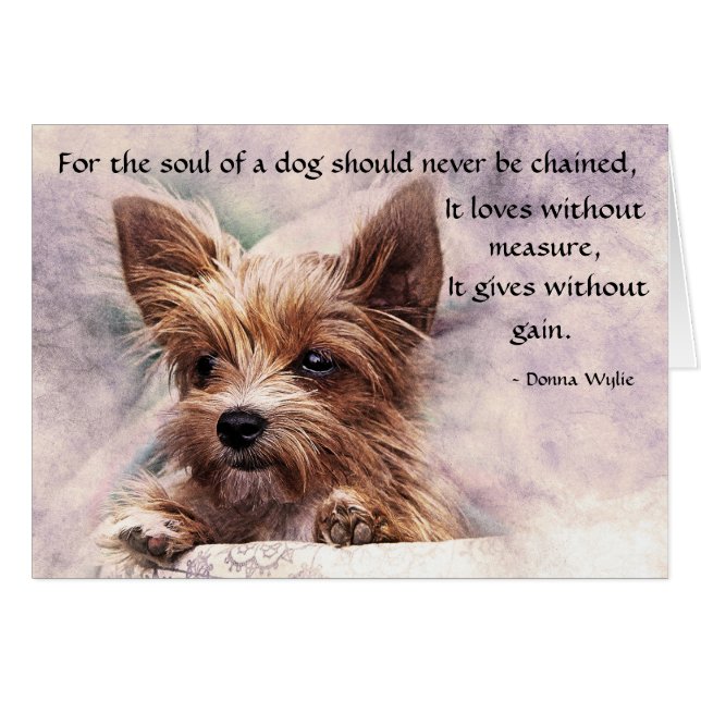 犬の魂 – ヨークシャーテリア (正面横)