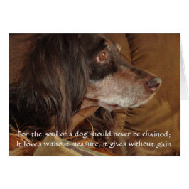 犬の魂 – "For Milly"