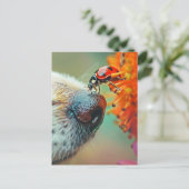 犬の鼻のラディバグ、ポストクロッシング ポストカード (スタンド正面)