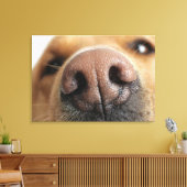 犬の鼻の極端なクローズアップ。 キャンバスプリント (インサイチュ (リビング))