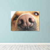 犬の鼻の極端なクローズアップ。 キャンバスプリント (インサイチュ (ウッドフロア))
