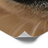 犬の鼻の極端なクローズアップ。 ポスター (角)