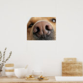 犬の鼻の極端なクローズアップ。 ポスター (キッチン)
