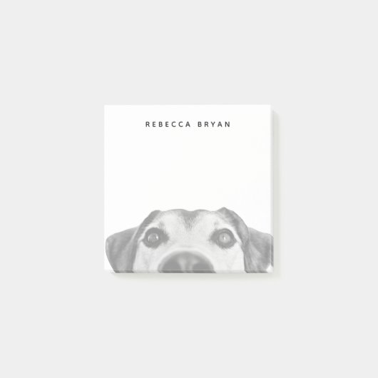 犬の鼻を嗅ぐ写真 ポストイット (正面)